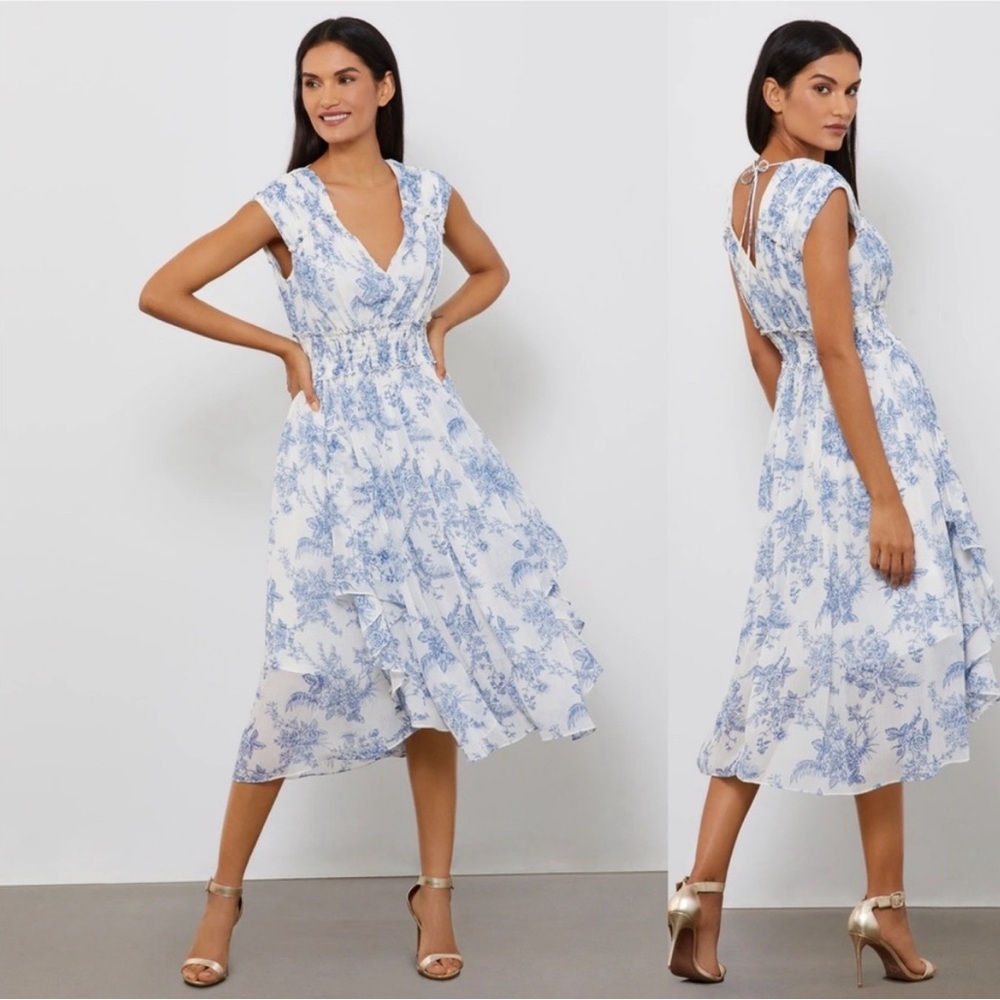 NWT Beautiful Blue Toile BCBG Dress